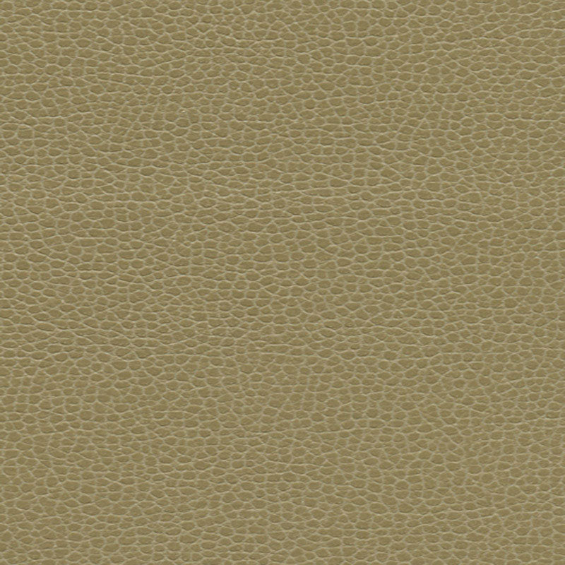 Shop 363by3148 Promessa Briarwood by Schumacher Fabric