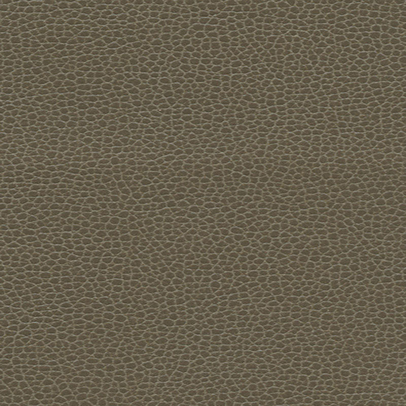 Looking 363by3462 Promessa Woodpecker by Schumacher Fabric