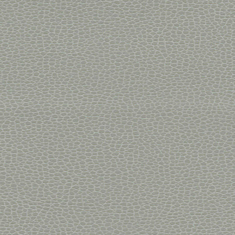 Shop 363by5818 Promessa Ash by Schumacher Fabric