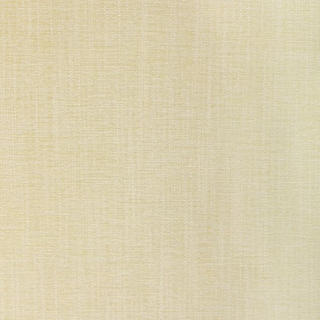 Sample - 36650.1111.0 | Kravet Smart, Performance Kravetarmor - Kravet Smart Fabric
