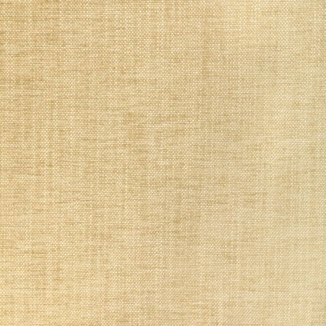 Sample - 36650.1116.0 | Kravet Smart, Performance Kravetarmor - Kravet Smart Fabric