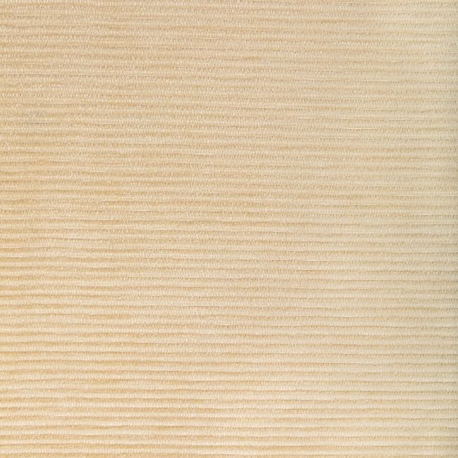Sample - 36651.1.0 | Kravet Smart, Performance Kravetarmor - Kravet Smart Fabric