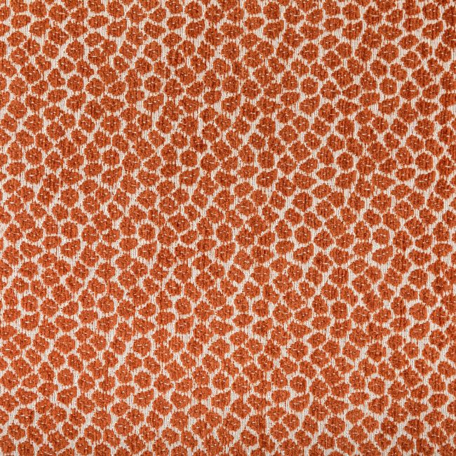 Sample - 36753.12.0 | Kravet Design,  - Kravet Design Fabric