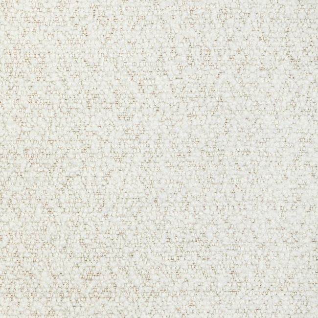 Sample - 36782.111.0 | Sensual Boucle, Candice Olson Collection - Kravet Design Fabric