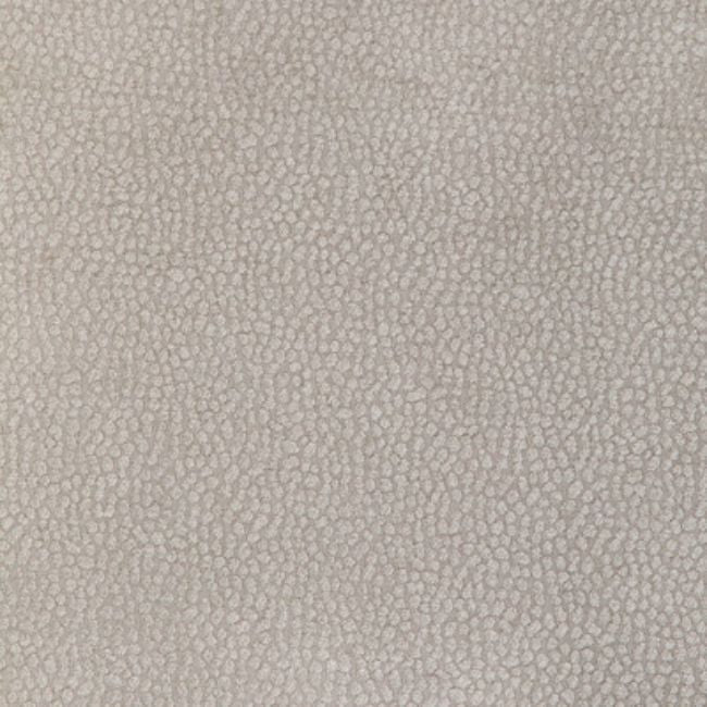 Sample - 36812.11.0 | Pebble Chenille, Candice Olson Collection - Kravet Design Fabric