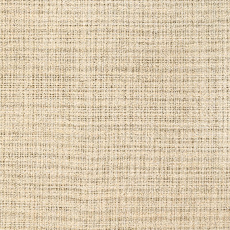 Purchase 36821.16.0 Kravet Basics, Indoor / Outdoor - Kravet Basics Fabric