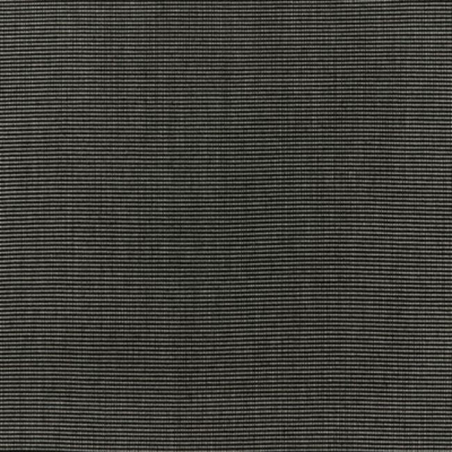 Sample - 36825.81.0 | Kravet Basics, Indoor / Outdoor - Kravet Basics Fabric