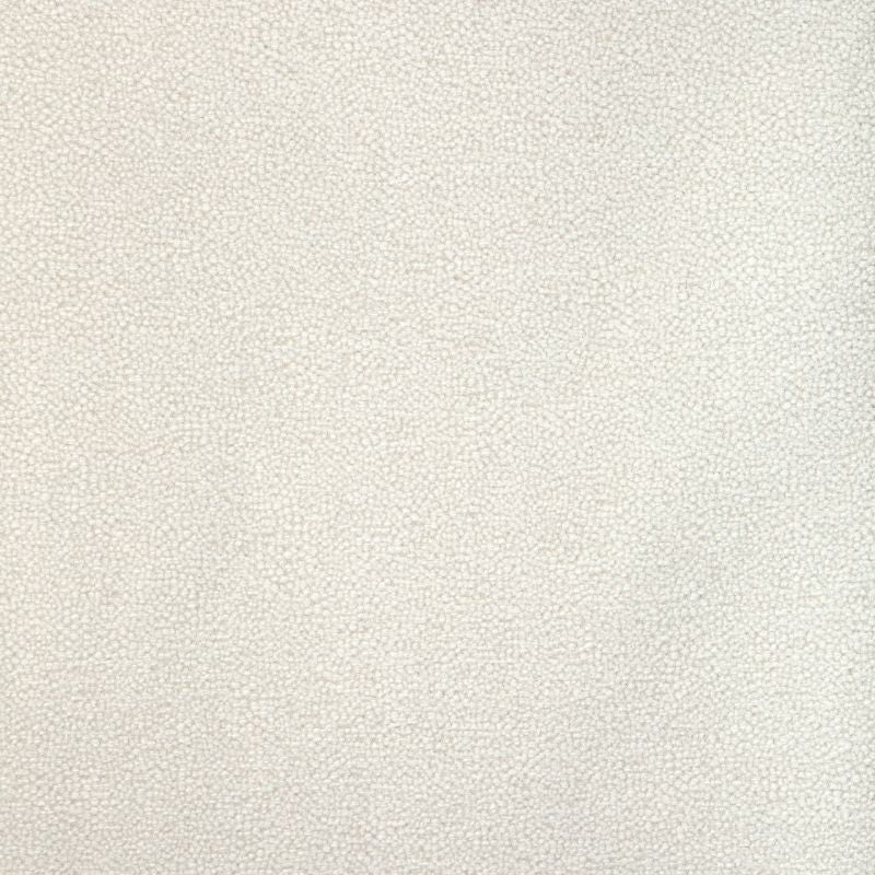 Sample - 37052.101.0 | Mulford, Thom Filicia Latitude - Kravet Design Fabric