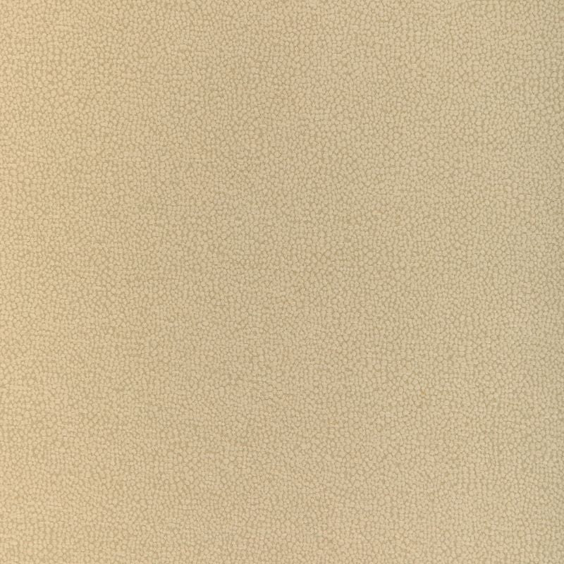 Sample - 37052.16.0 | Mulford, Thom Filicia Latitude - Kravet Design Fabric