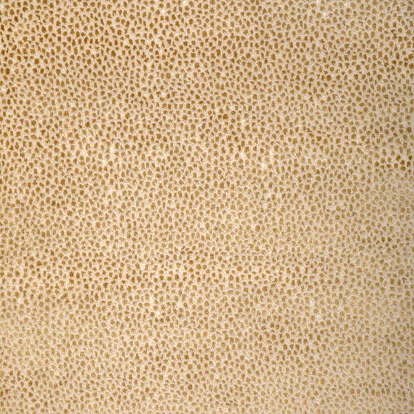 Sample - 37480.4.0 | Kravet Design, Woven Colors - Kravet Design Fabric