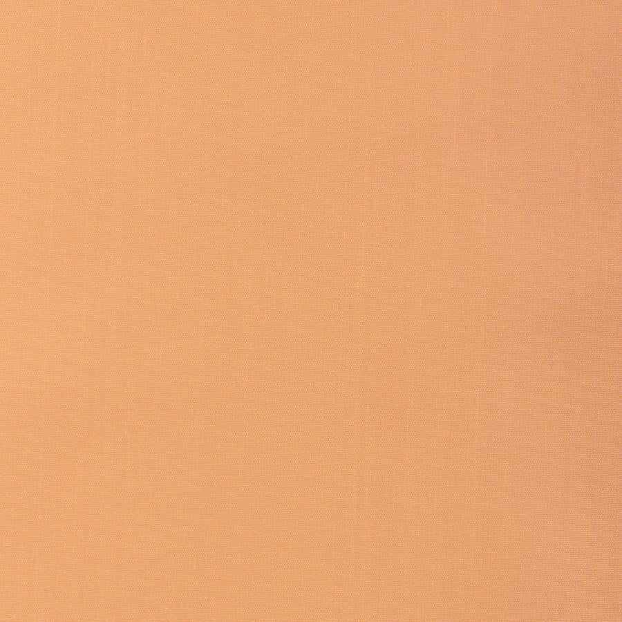 Purchase 37578.1216.0 Kravet Basics, Silky Taffeta - Kravet Basics Fabric