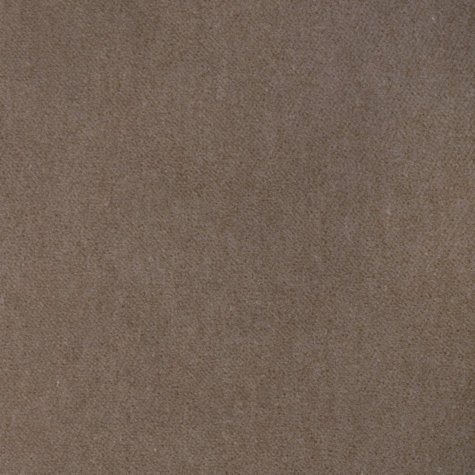 Purchase 37696.11.0 Tempo, Tempo Velvets - Kravet Contract Fabric