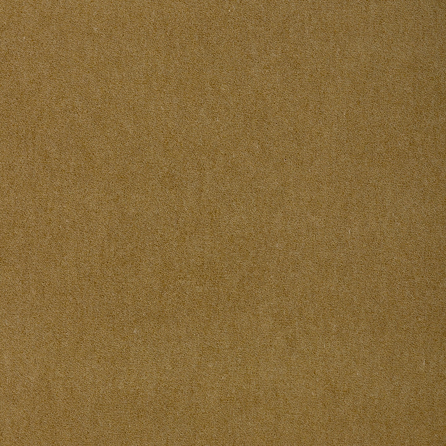 Purchase 37696.34.0 Tempo, Tempo Velvets - Kravet Contract Fabric