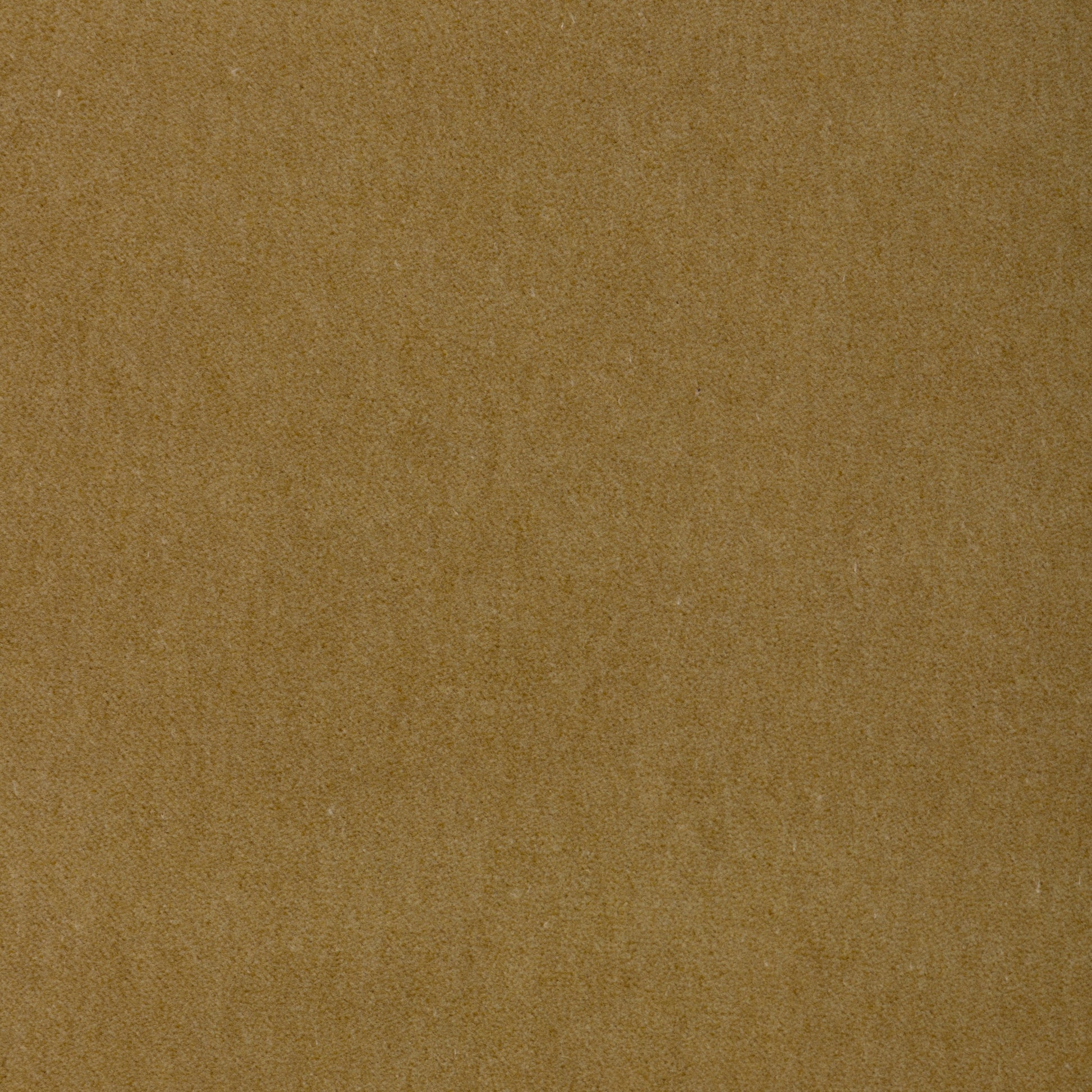 Purchase 37696.34.0 Tempo, Tempo Velvets - Kravet Contract Fabric