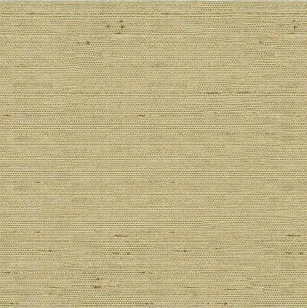 Sample 3807.1616 Kravet Basics Fabric