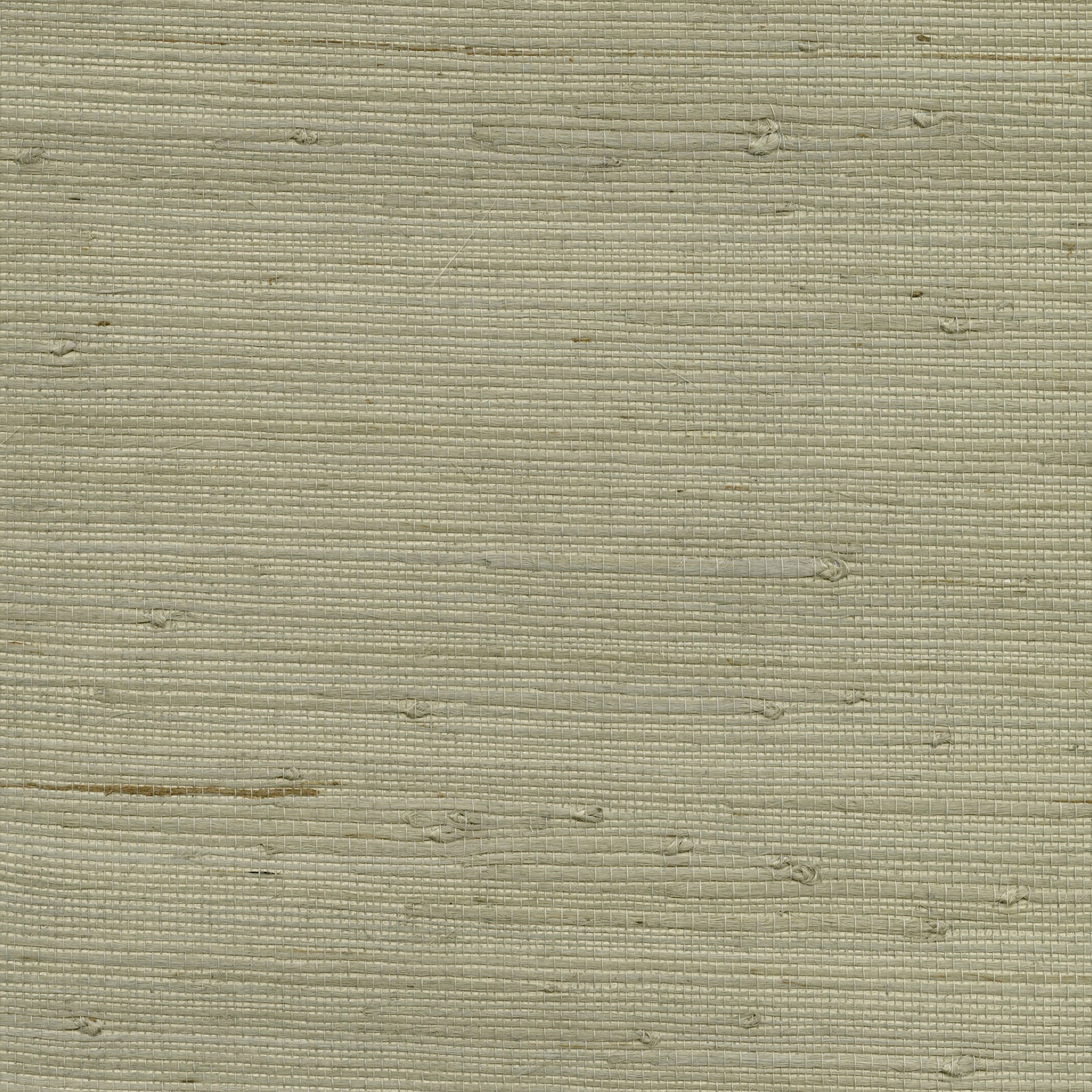 Looking 4018-0015 Grasscloth Portfolio Battan Taupe Grasscloth Grey by Advantage