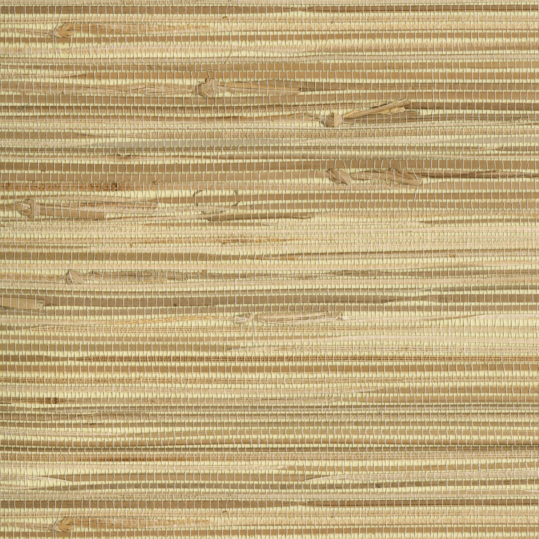 Acquire 4018-0020 Grasscloth Portfolio Endo Neutral Grasscloth Neutral by Advantage