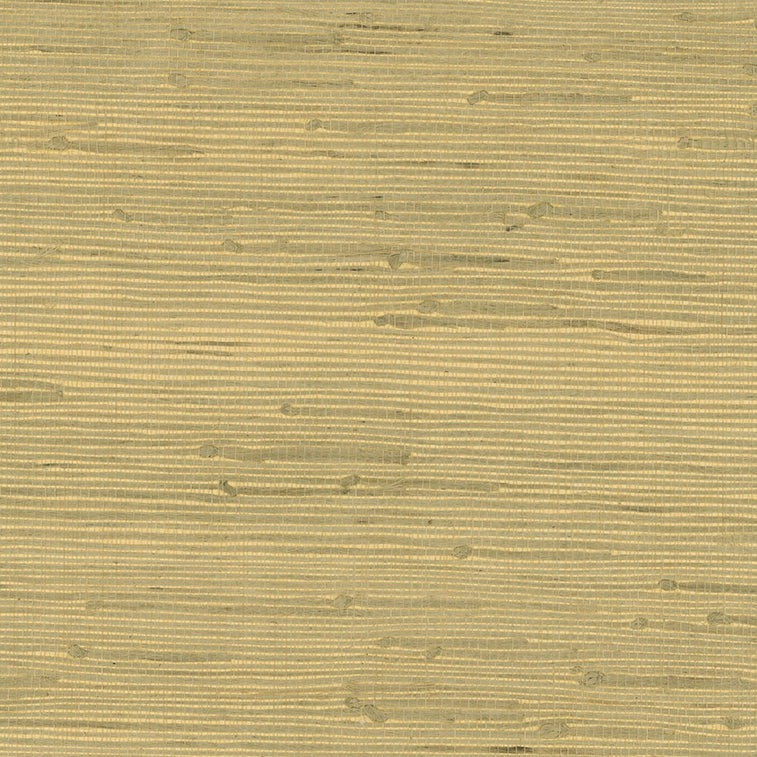 Purchase 4018-0021 Grasscloth Portfolio Shan Light Green Grasscloth Green by Advantage