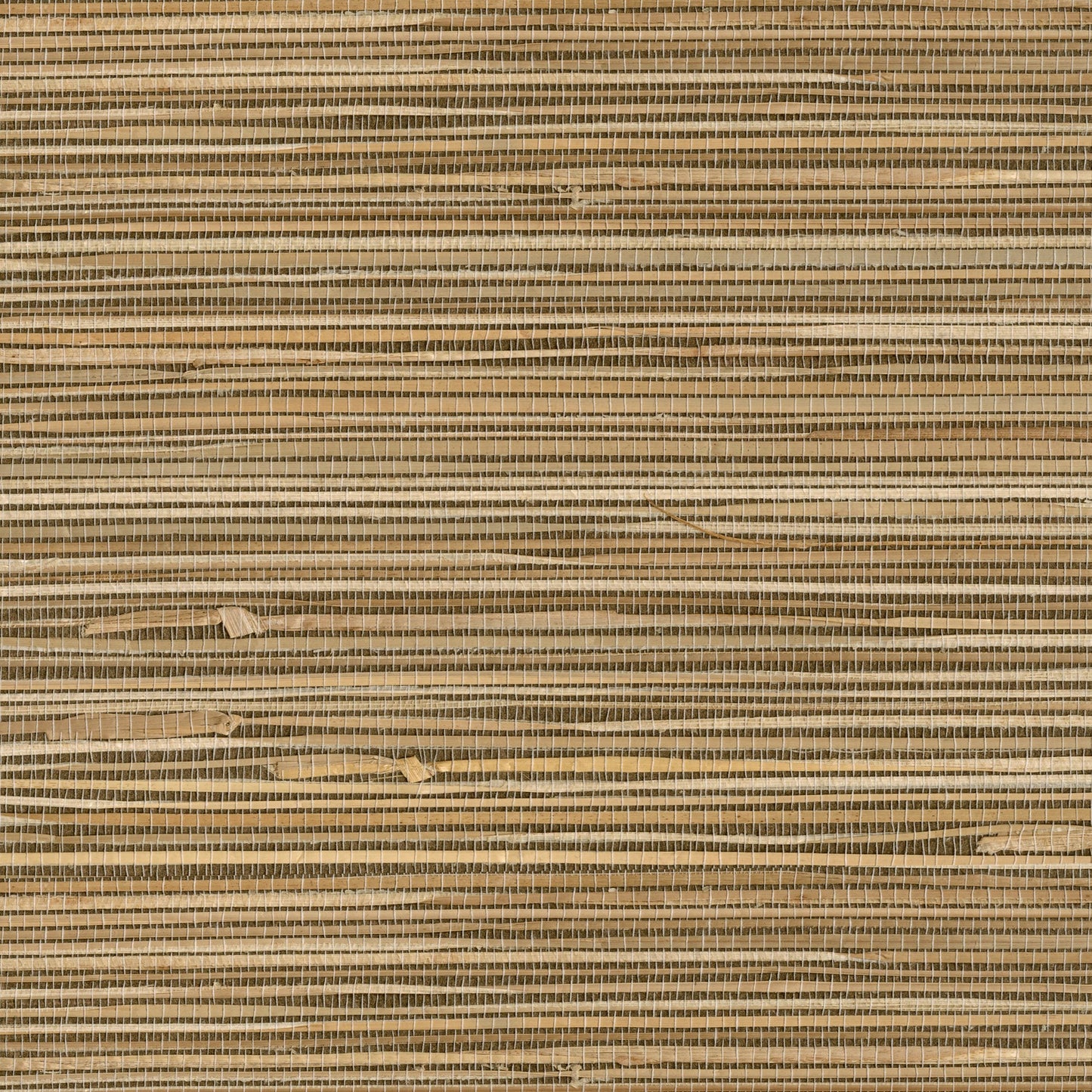 Looking 4018-0026 Grasscloth Portfolio Seiju Wheat Grasscloth Wheat by Advantage