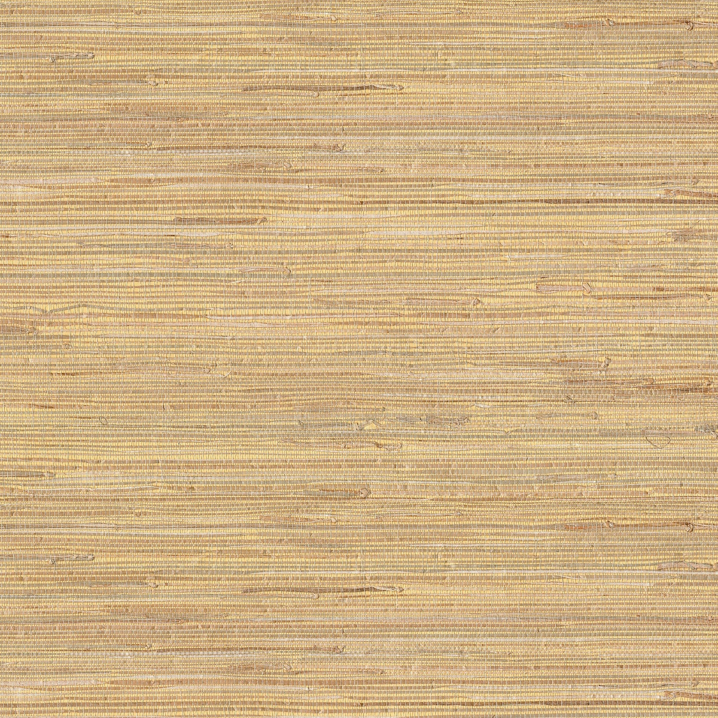 Select 4018-0036 Grasscloth Portfolio Daria Beige Grasscloth Beige by Advantage