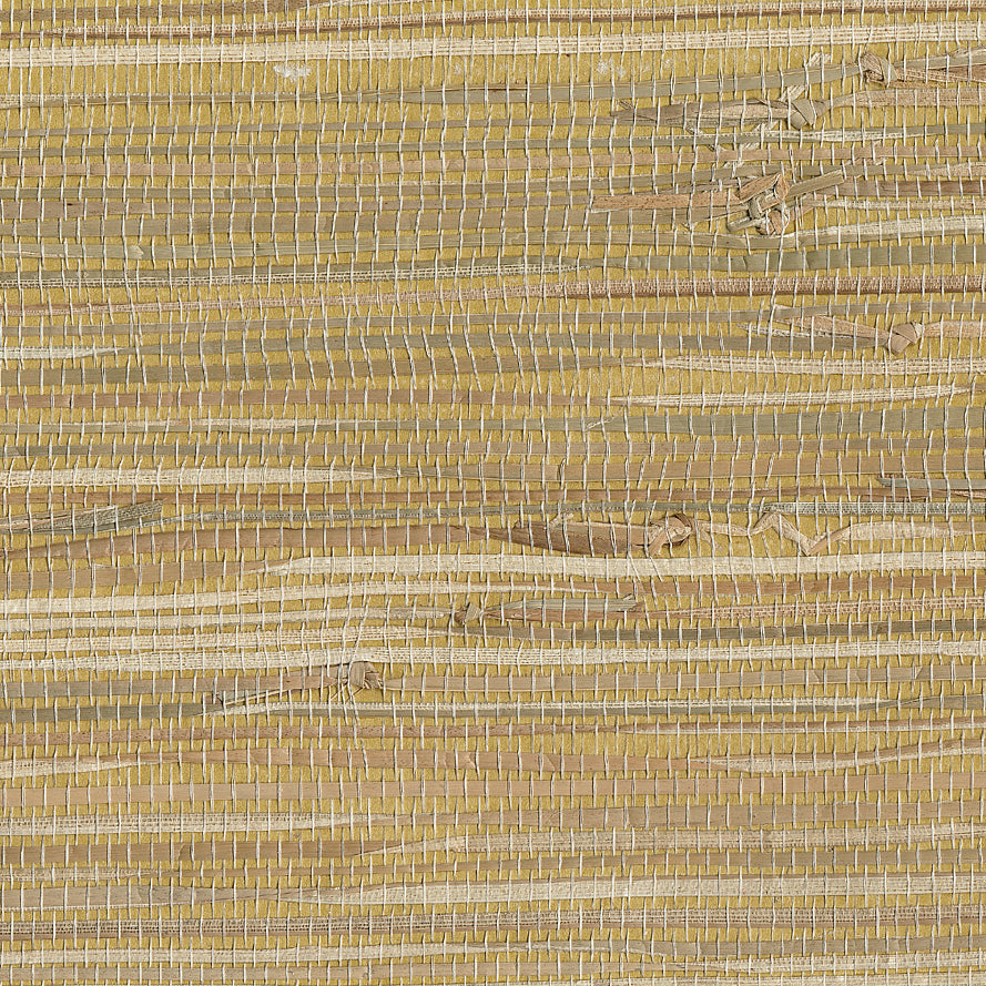 Save 4018-0041 Grasscloth Portfolio Dhyana Olive Grasscloth Olive by Advantage