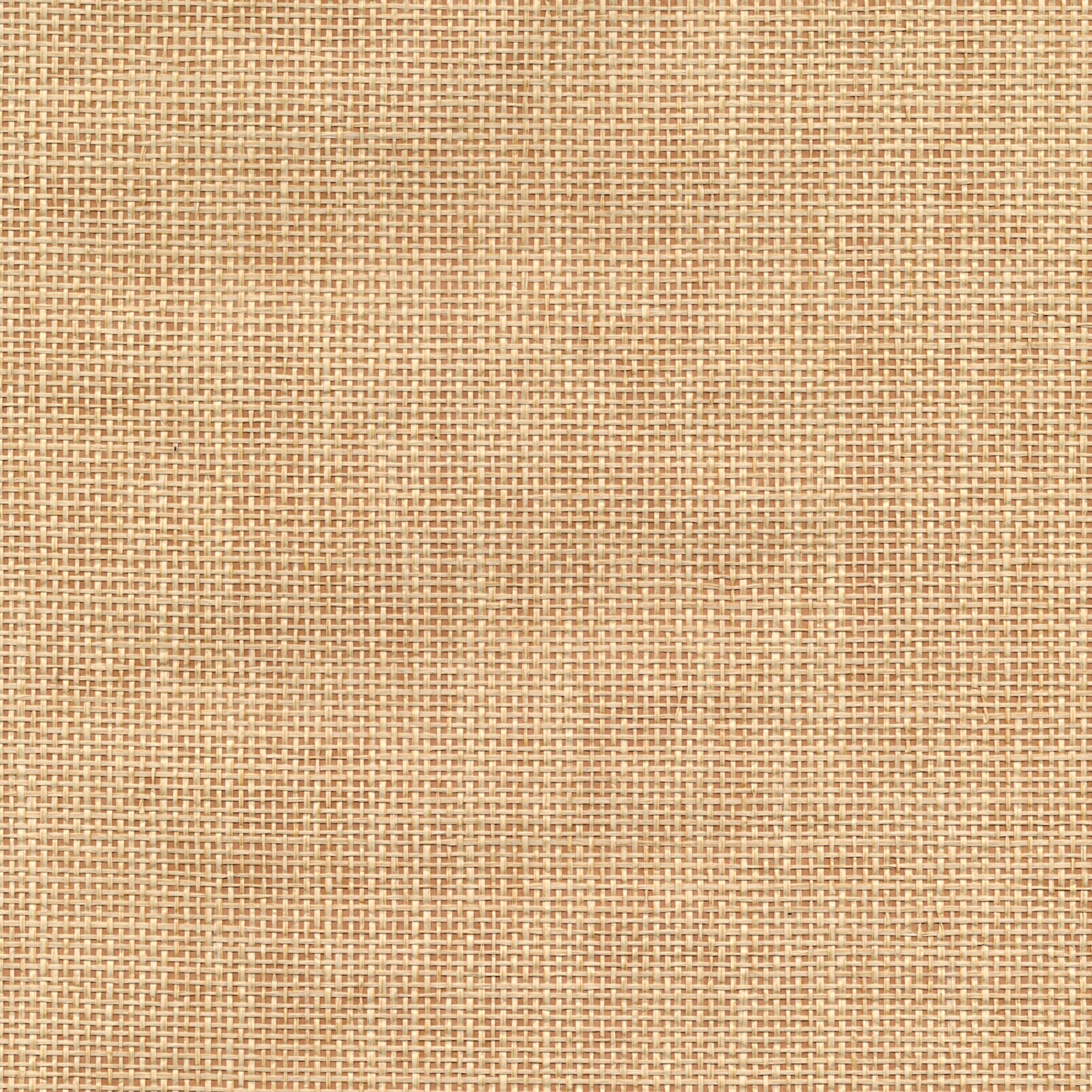 View 4018-0044 Grasscloth Portfolio Pavel Sand Grasscloth Beige by Advantage