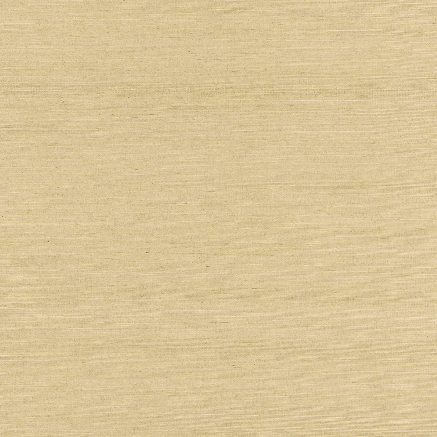 Find 4018-0056 Grasscloth Portfolio Rhona Cream Solid Grasscloth Beige by Advantage