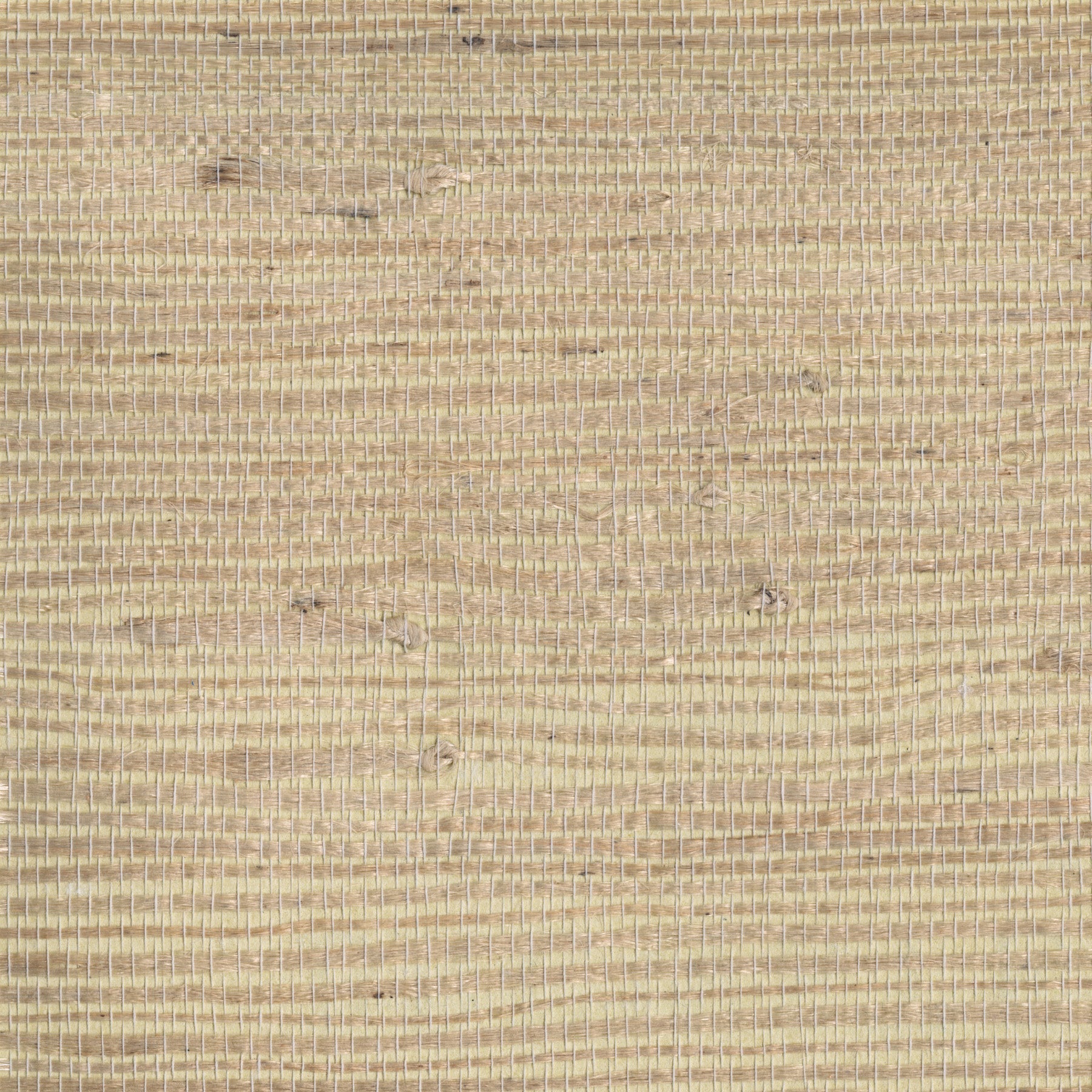 Buy 4018-0057 Grasscloth Portfolio Kostya Beige Grasscloth Beige by Advantage