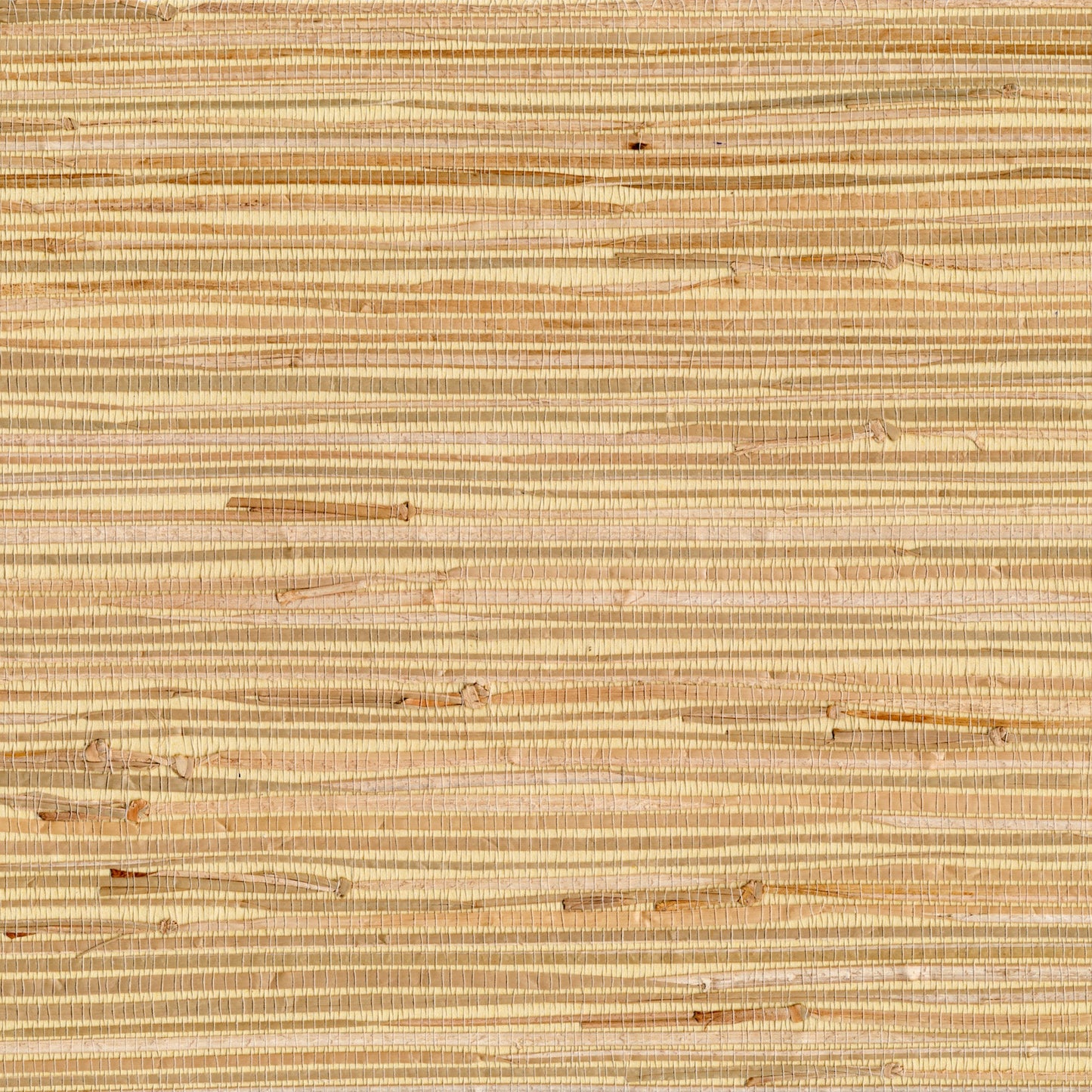 Select 4018-0058 Grasscloth Portfolio Altay Maize Grasscloth Maize by Advantage