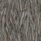 Purchase 4019-86487 Lustre, Suna Charcoal Woodgrain by A-Street Prints Wallpaper