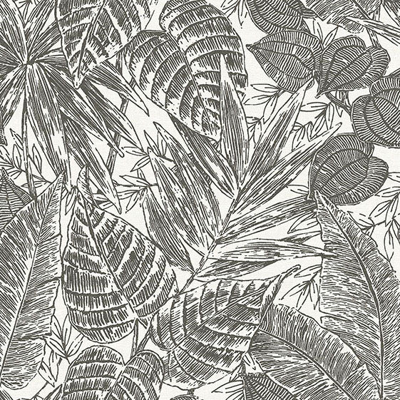 Purchase 4034-72115 A-Street Wallpaper, Brentwood Black Palm Leaves - Scott Living III