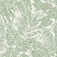 Purchase 4034-72116 A-Street Wallpaper, Brentwood Green Palm Leaves - Scott Living III