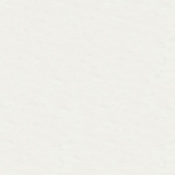 Order 4070.101.0  Solids/Plain Cloth White by Kravet Design Fabric