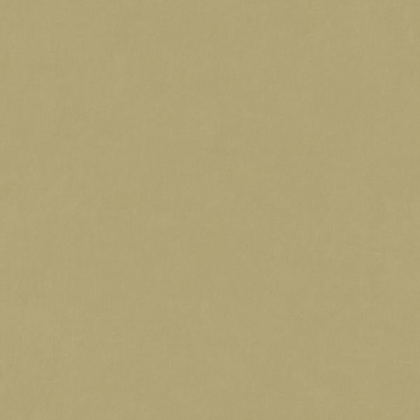 Shop 4070.1600.0  Solids/Plain Cloth Beige by Kravet Design Fabric