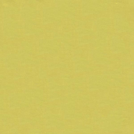 Looking 4070.3.0  Solids/Plain Cloth Light Green by Kravet Design Fabric