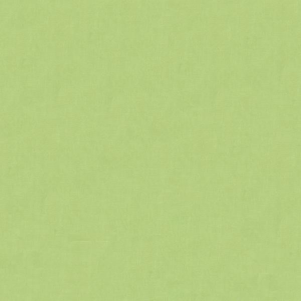 Sample 4070.330.0 Light Green Drapery Solids Plain Cloth Fabric by Kravet Design