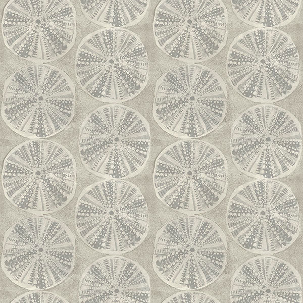 Purchase 4071-71024 Advantage Wallpaper, Sea Biscuit Grey Sand Dollar - Blue Heron