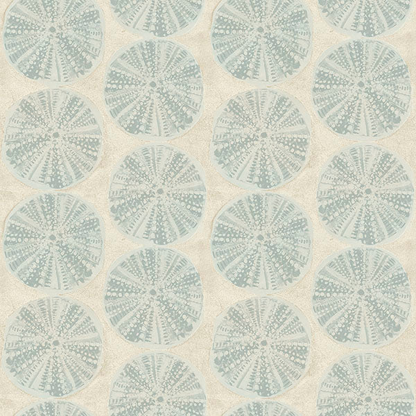 Purchase 4071-71028 Advantage Wallpaper, Sea Biscuit Aqua Sand Dollar - Blue Heron