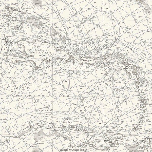 Purchase 4071-71055 Advantage Wallpaper, Charts Black Nautical Chart - Blue Heron