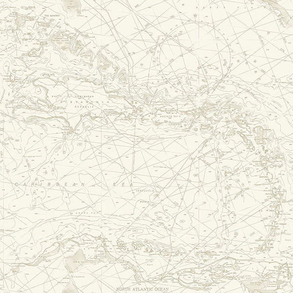 Purchase 4071-71057 Advantage Wallpaper, Charts Taupe Nautical Chart - Blue Heron