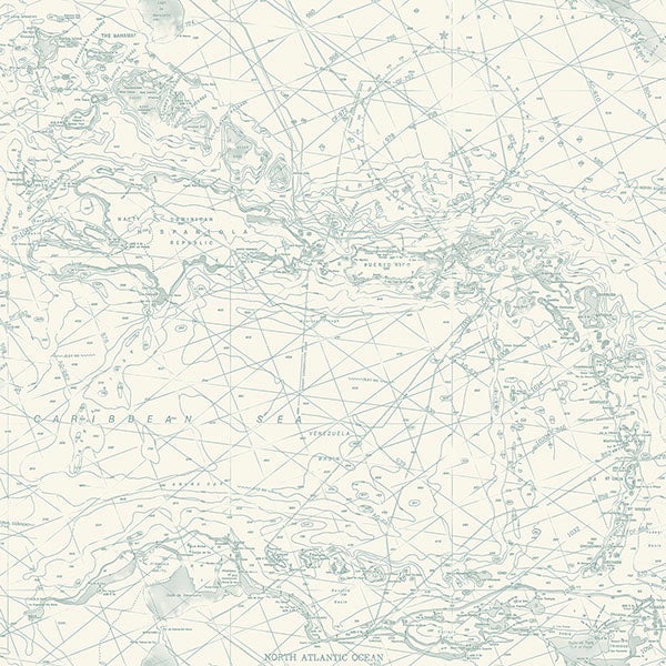 Purchase 4071-71058 Advantage Wallpaper, Charts Aqua Nautical Chart - Blue Heron