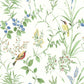 Purchase 4134-24173 Chesapeake Wallpaper, Imperial Garden Botanical - Wildflower