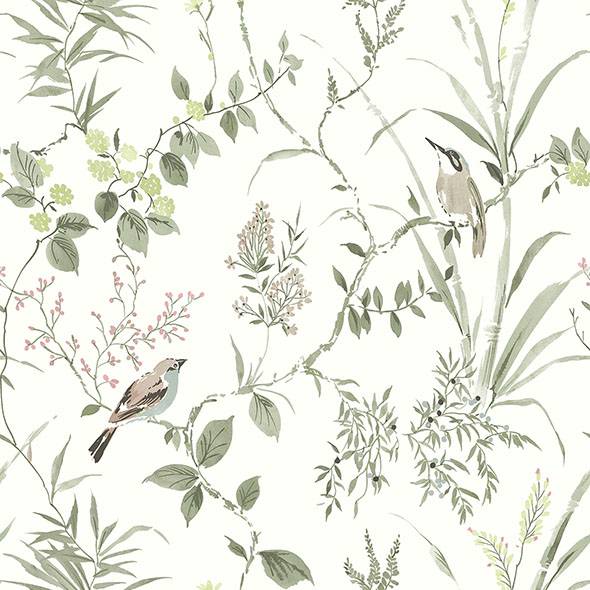 Purchase 4134-26992 Chesapeake Wallpaper, Imperial Garden Botanical - Wildflower