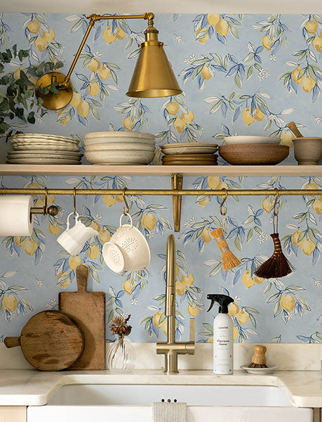 Purchase 4134-72506 Chesapeake Wallpaper, Lemonade Citrus - Wildflower12