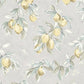 Purchase 4134-72509 Chesapeake Wallpaper, Lemonade Citrus - Wildflower