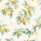 Purchase 4134-72510 Chesapeake Wallpaper, Lemonade Citrus - Wildflower