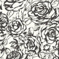 Purchase 4135-72707 A-Street Wallpaper, Nelda Black Rose - Whimsy