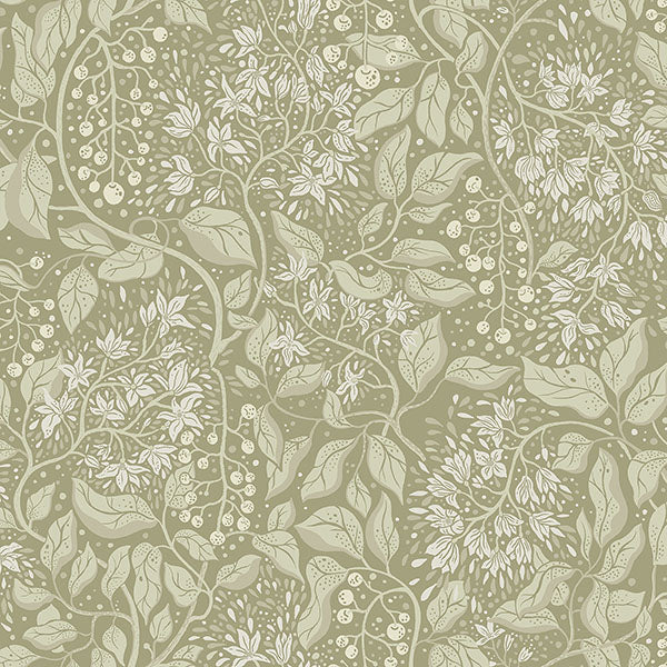 Purchase 4143-22024 A-Street Wallpaper, Turi Moss Twining Vines - Botanica