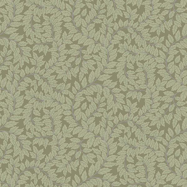 Purchase 4143-34020 A-Street Wallpaper, Lindlöv Moss Leafy Vines - Botanica
