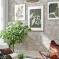 Purchase 4143-34021 A-Street Wallpaper, Bernadina Grey Rosebush - Botanica1